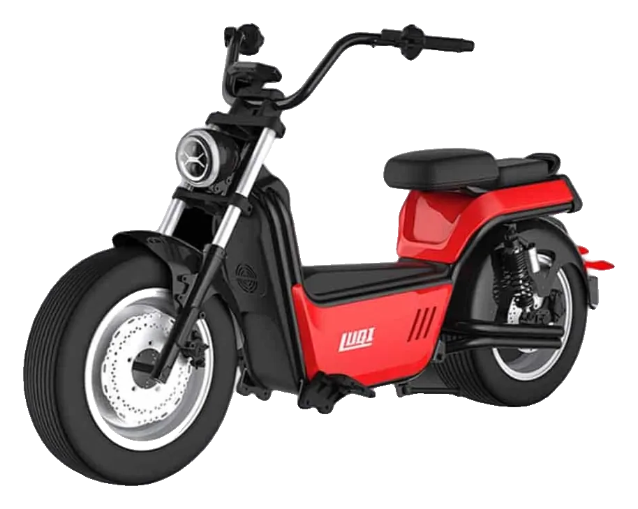 CityCoco Electric Motorbike 2000W
